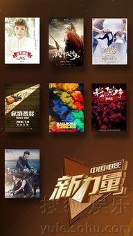 国产片精品,匠心独运,光影流年